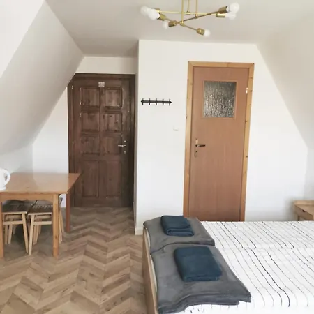 Czarny Jelen Apartment Zakopane Exterior photo