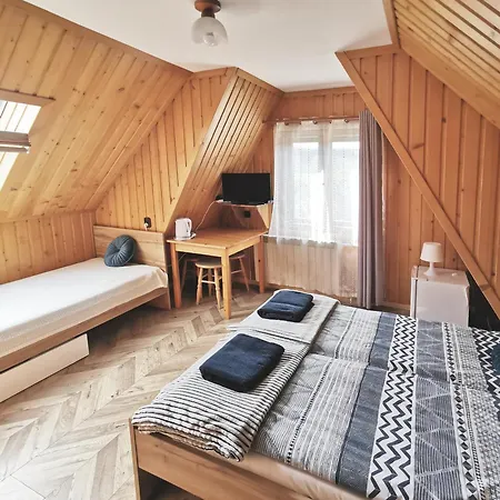 Czarny Jelen Apartment Zakopane Exterior photo