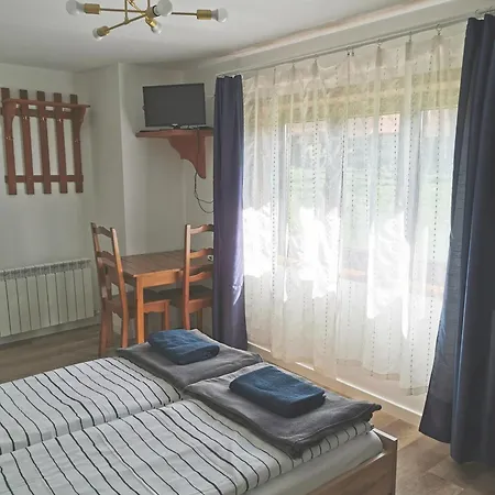 Czarny Jelen Apartment Zakopane Exterior photo