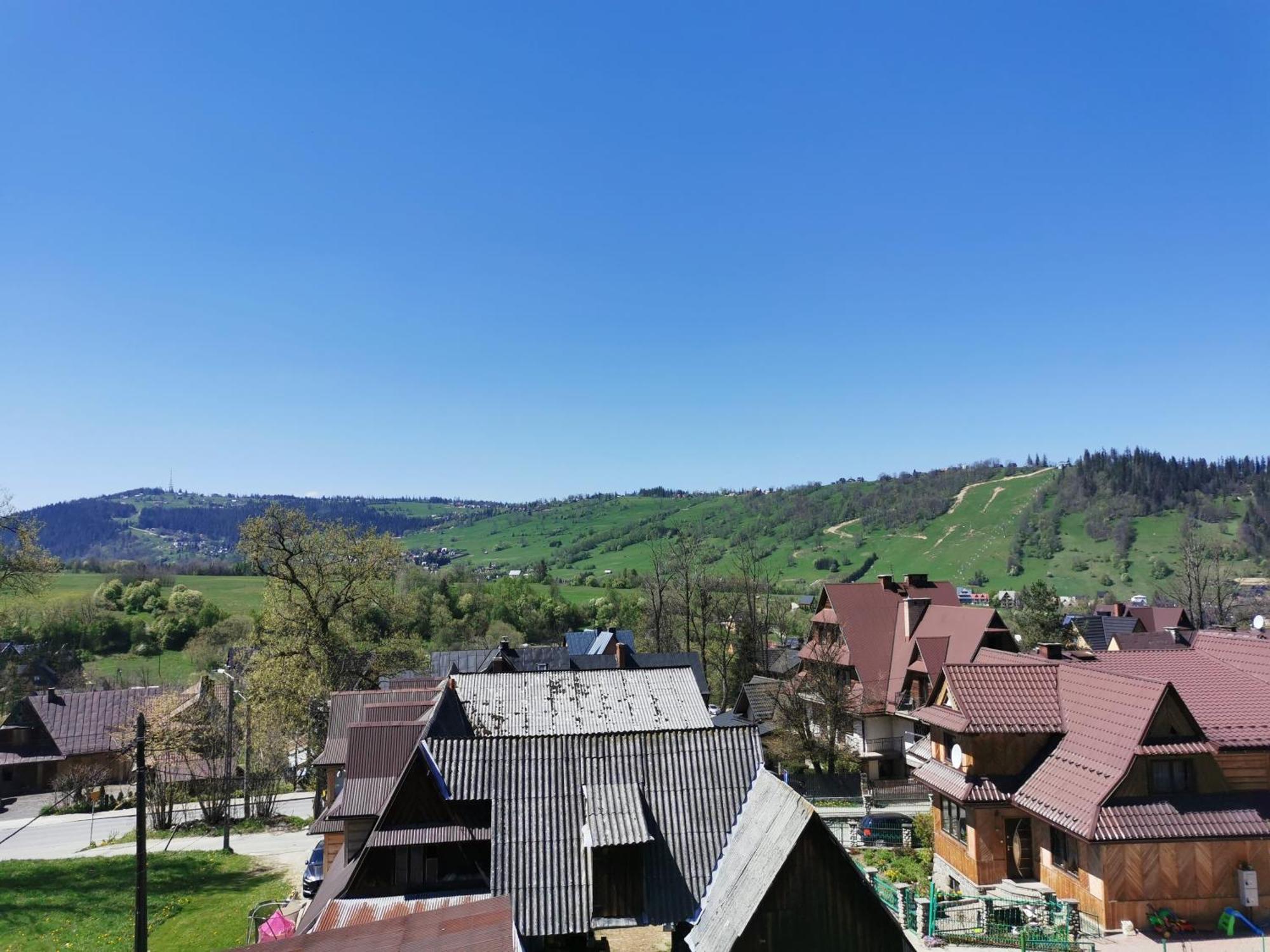 Czarny Jelen