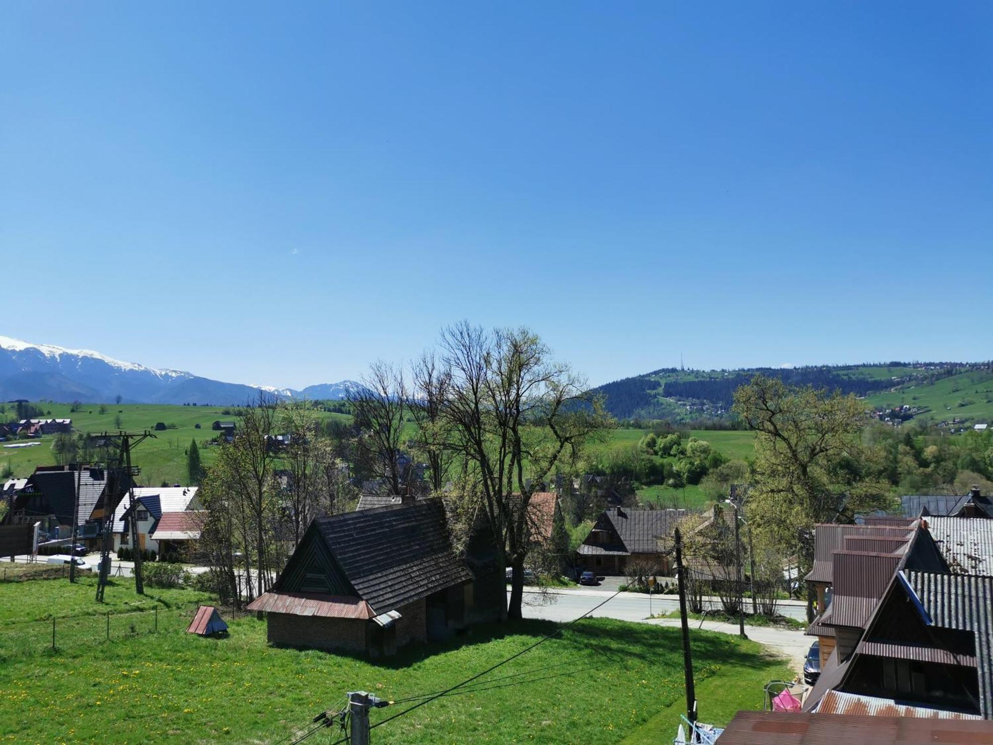 Czarny Jelen Zakopane